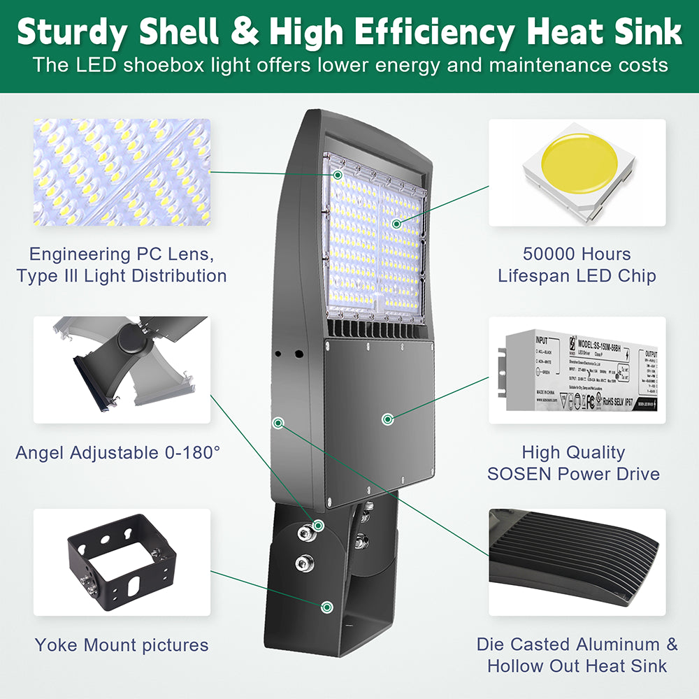 LFD Lighting 100W LED Pole Light-14000 Lumens For Basketball Court