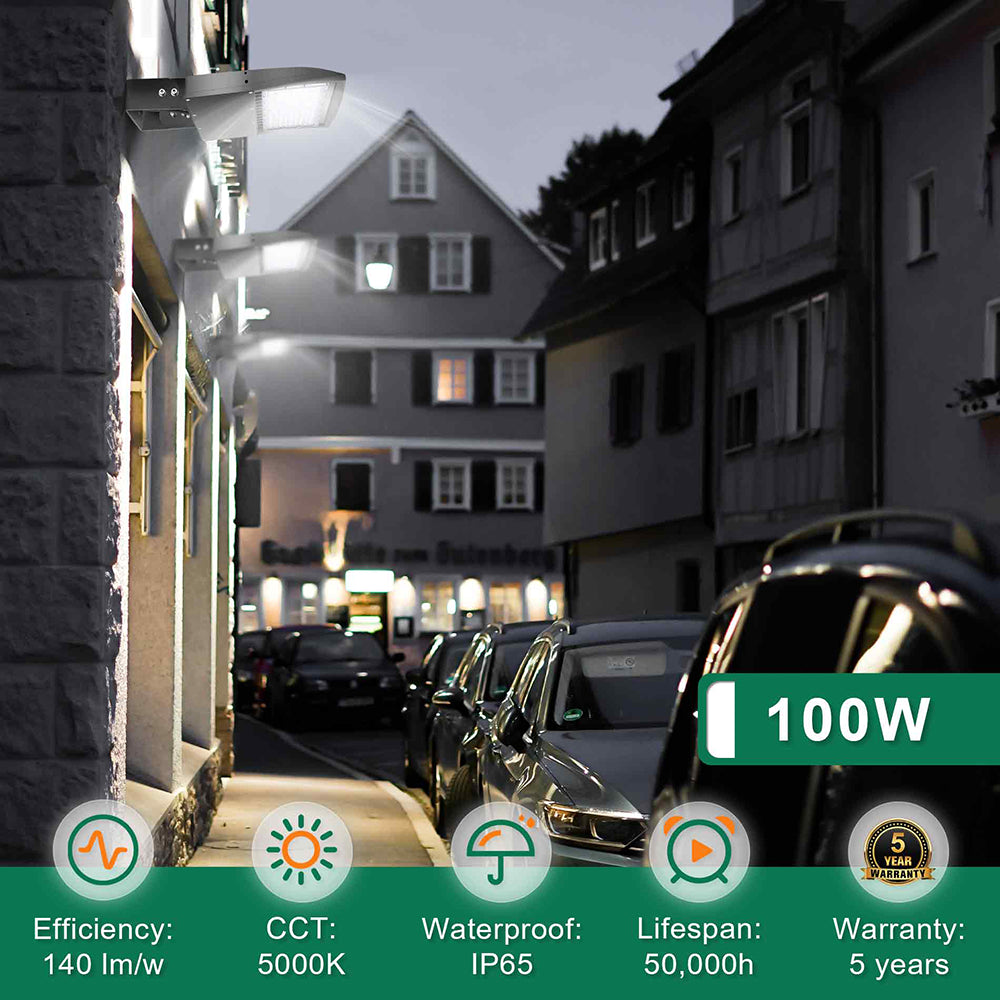 LFD Lighting 100W LED Pole Light-14000 Lumens For Stadium