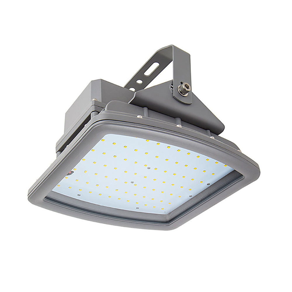 LFD Lighting 100W Led Explosion Proof Light For Gas Industry