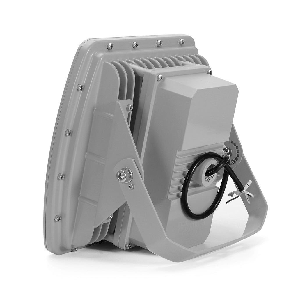 LFD Lighting 100W Led Explosion Proof Light For Warehouse