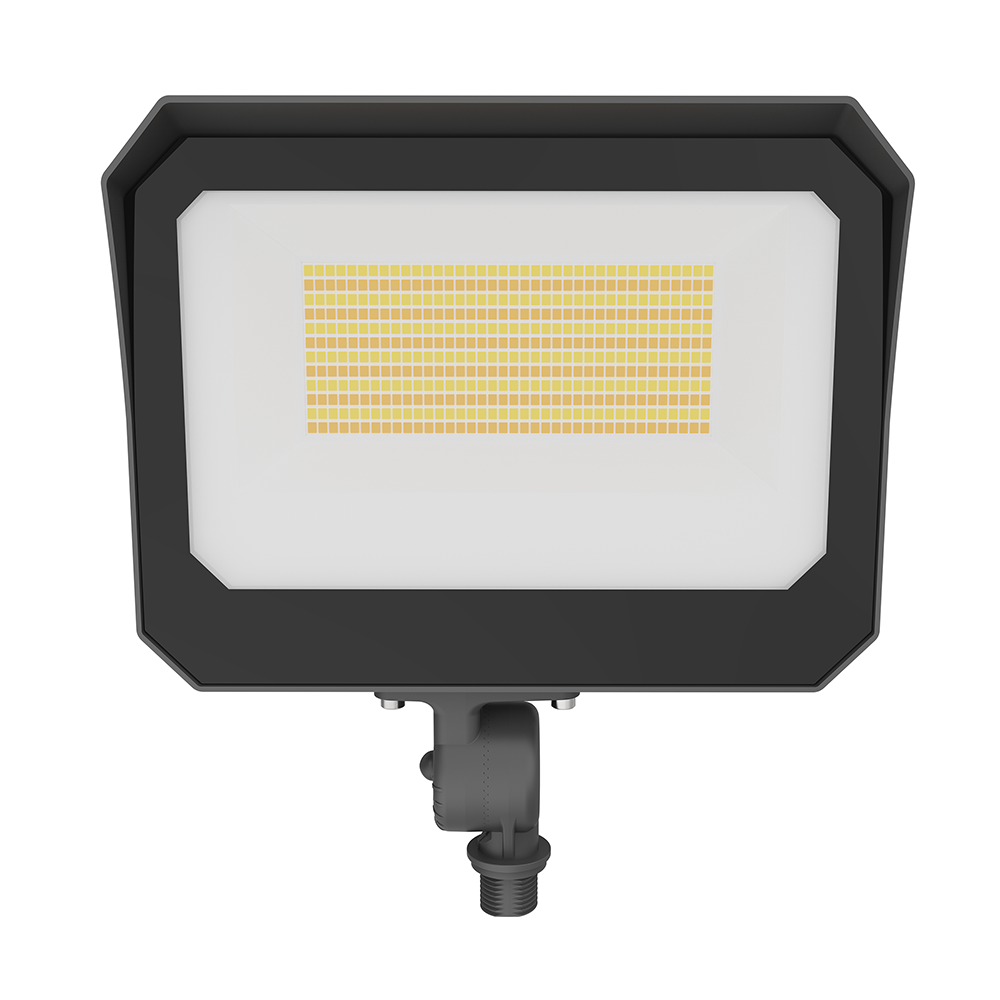 LFD Lighting 35/60/80W Wattage Selectable Led Flood Light