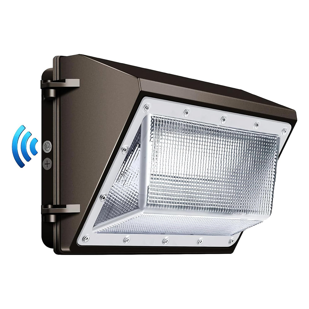 LFD Lighting 60W LED Wall Pack For Garden