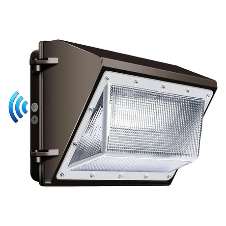 LFD Lighting 60W LED Wall Pack For Garden