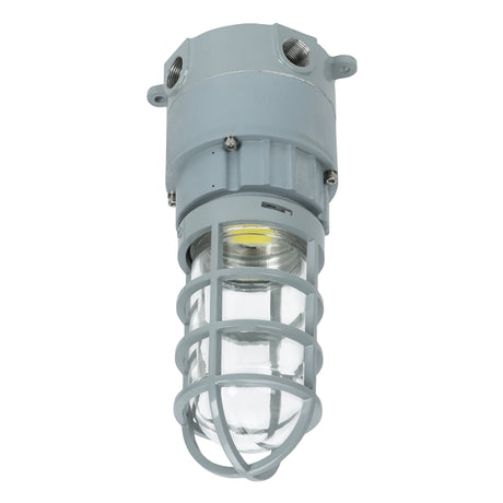 30W LED Explosion Proof Jelly Jar Light O Series For Gas Station