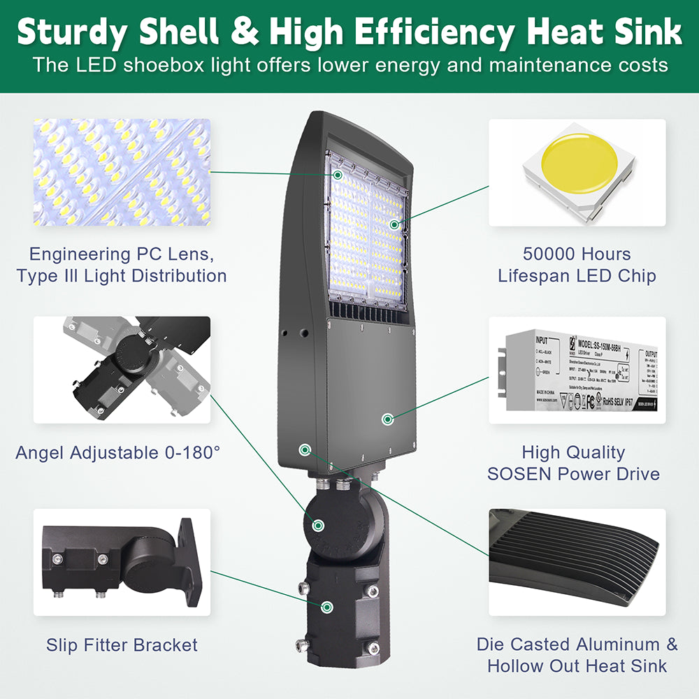 LFD Lighting 100W LED Pole Light-14000 Lumens For School Playground