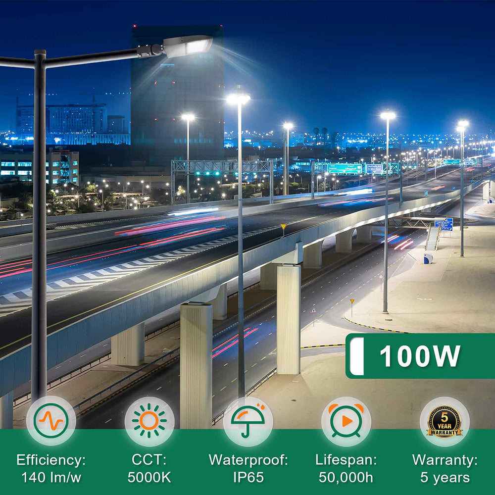 LFD Lighting 100W LED Pole Light-14000 Lumens For Stadium