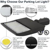 LFD Lighting 100W LED Shoebox Light AM for Basketball Court