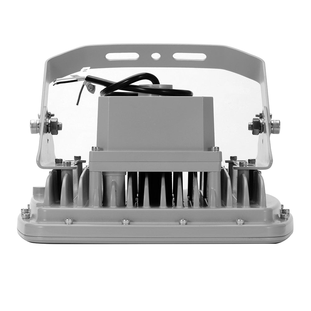 LFD Lighting 100W Led Explosion Proof Light  For Factory