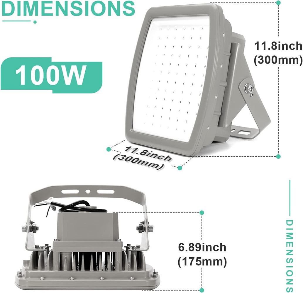 LFD Lighting 100W Led Explosion Proof Light  For Gas Station