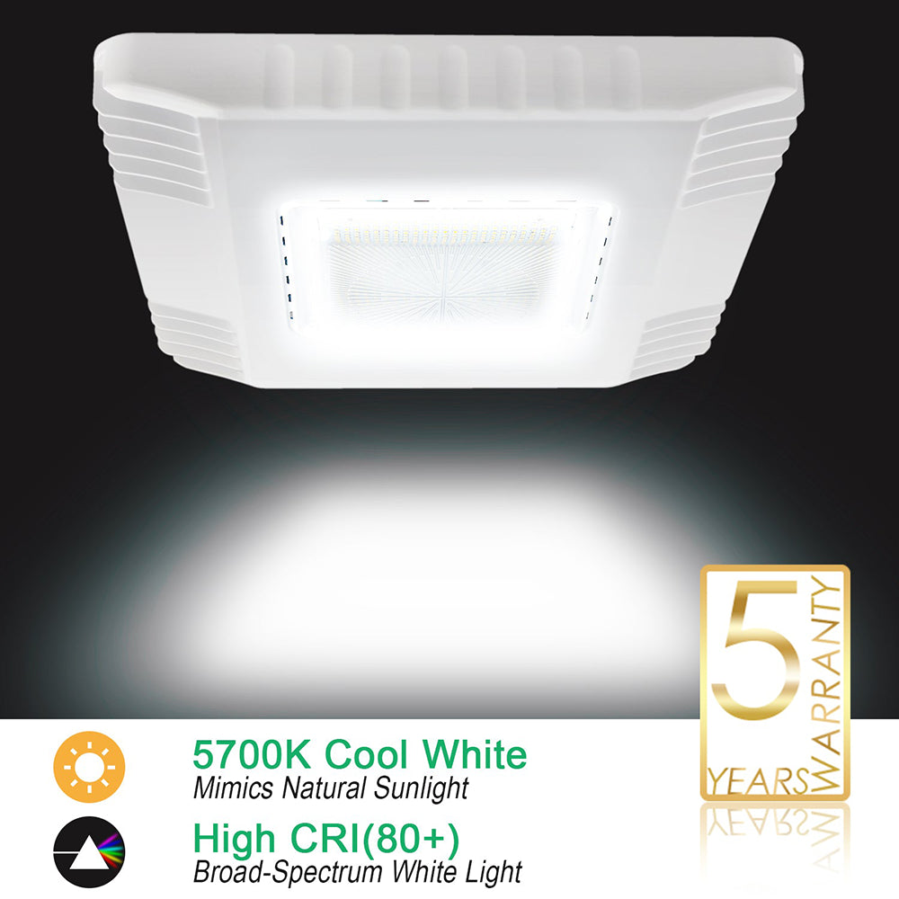 LFD Lighting 150W LED Canopy Light-19500 Lumens For Gas Station