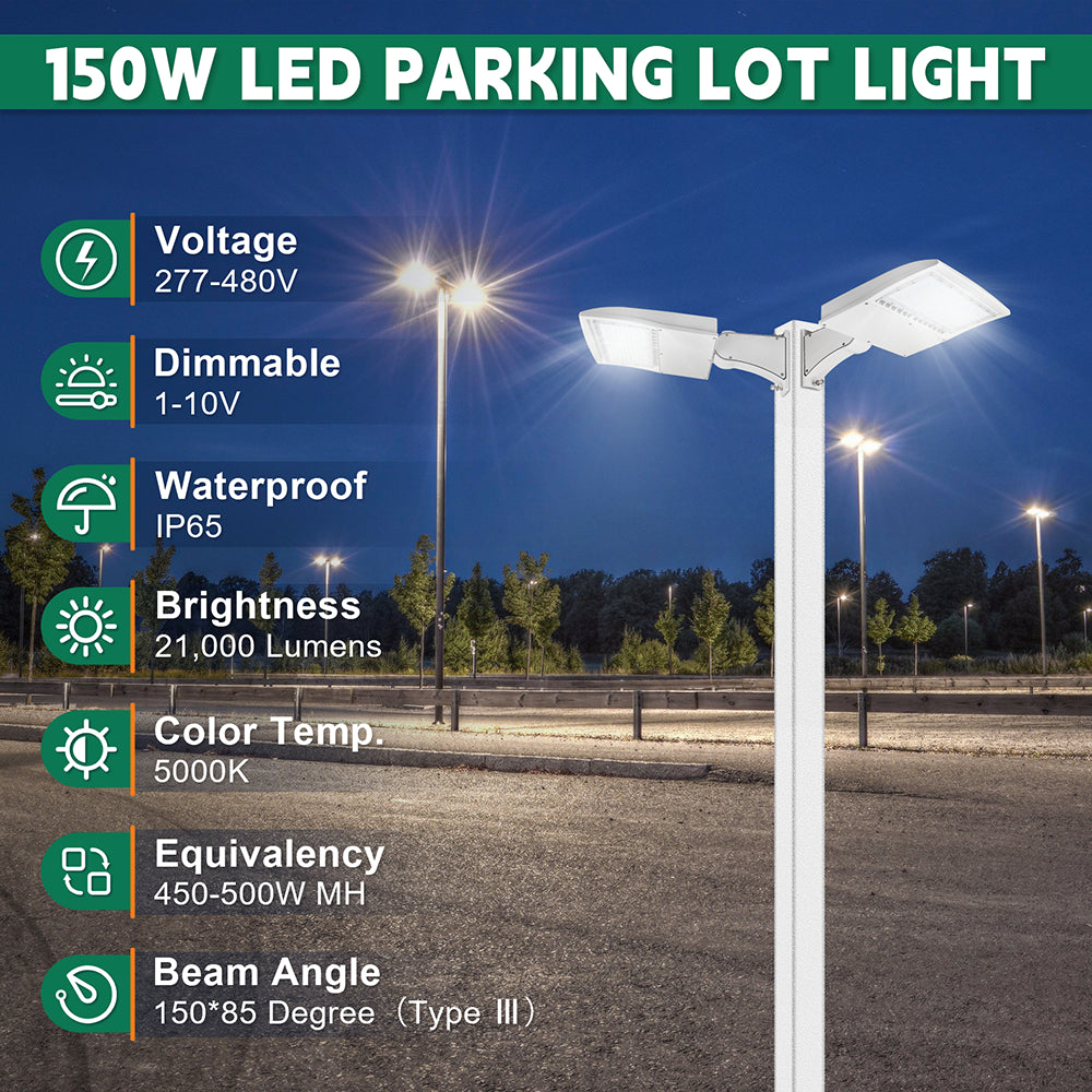 LFD Lighting 150W LED Parking Lot Light DM For Tennis Court