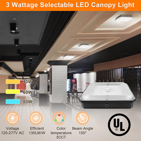 LFD Lighting 3 Wattage Selectable Canopy For Garage     