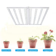 LFD Lighting 4*4 ft LED Grow Light