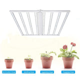 LFD Lighting 4*4 ft LED Grow Light
