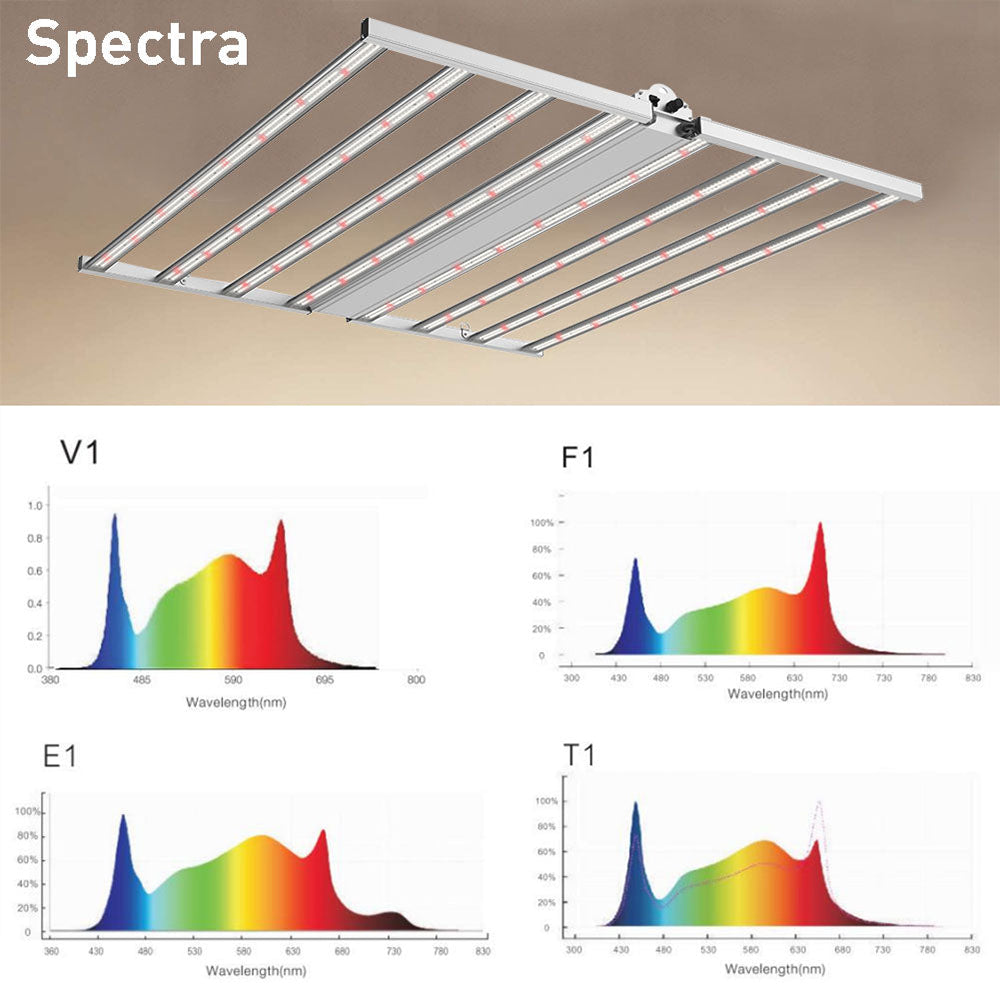 LFD Lighting 4*4 ft LED Grow Light For Conservatories