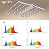 LFD Lighting 4*4 ft LED Grow Light For Conservatories