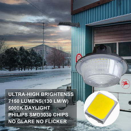 LFD Lighting 55W LED Dusk To Dawn Light  For Warehouse